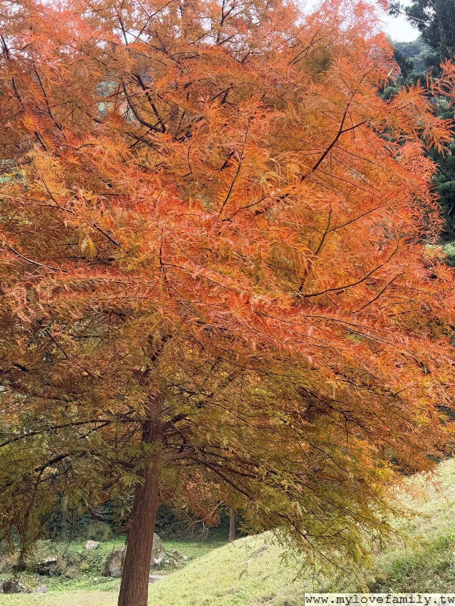 【溪洲公園】