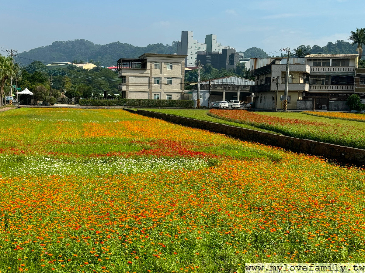 2024大溪水岸花卉農遊