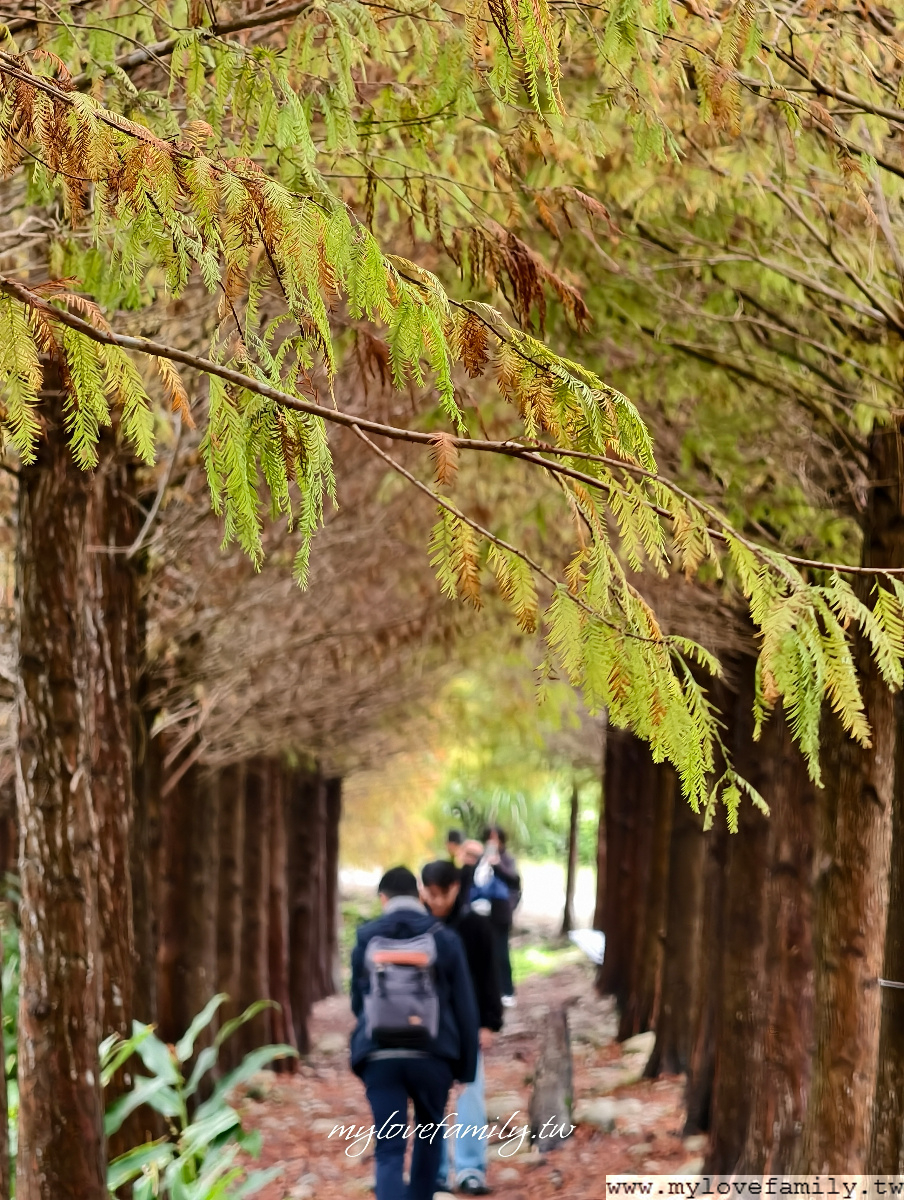 【月眉人工濕地生態公園】