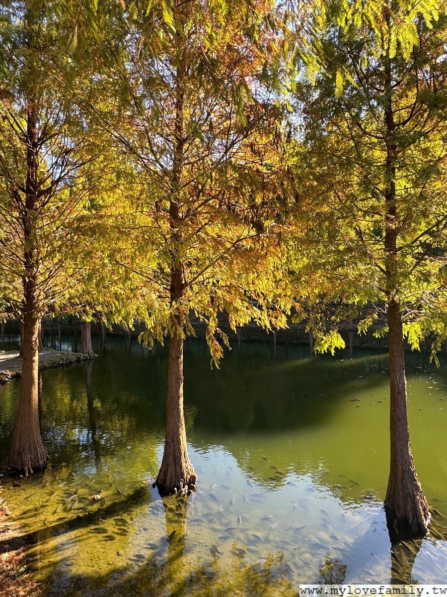 月眉人工濕地生態公園