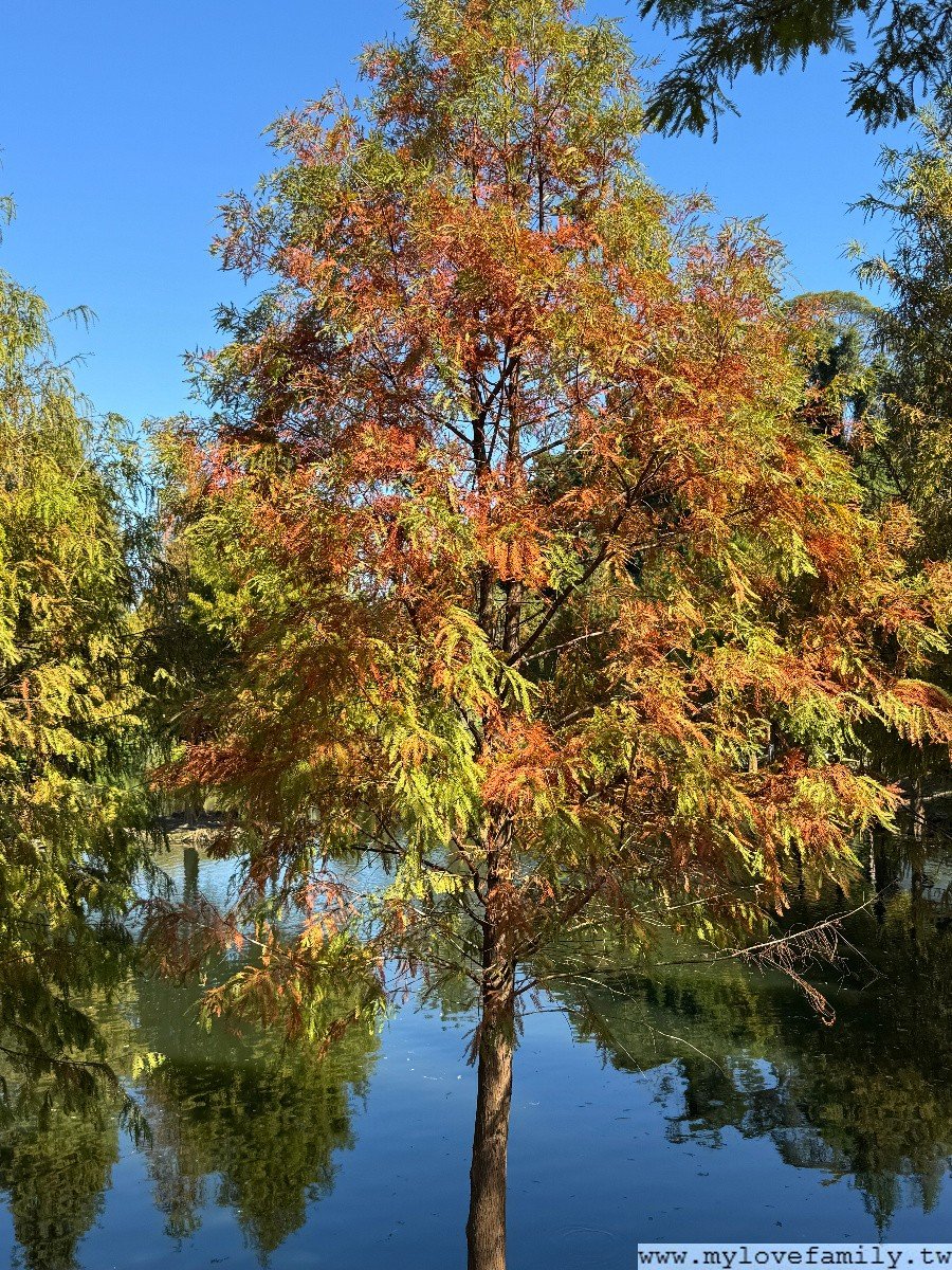 月眉人工濕地生態公園