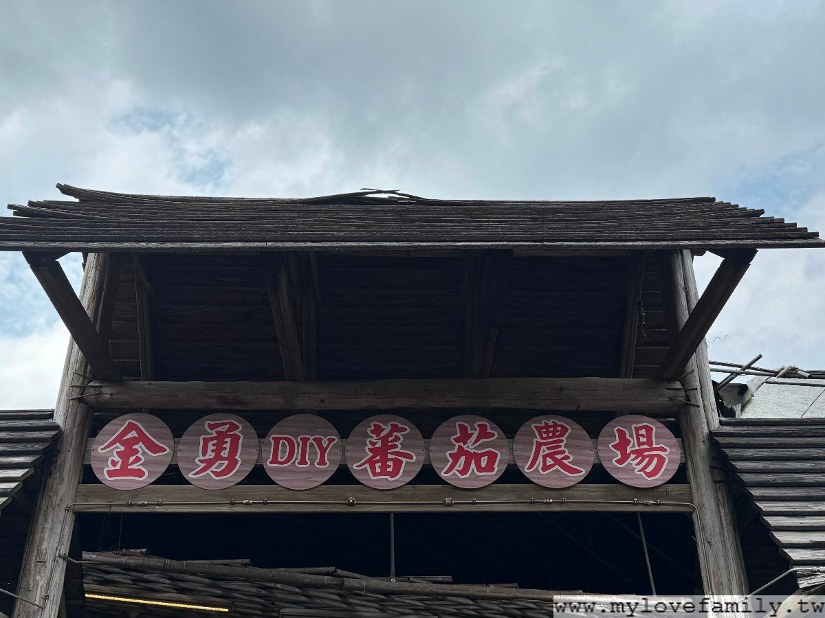 金勇DIY蕃茄農場