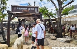 IMG_20250827_115514