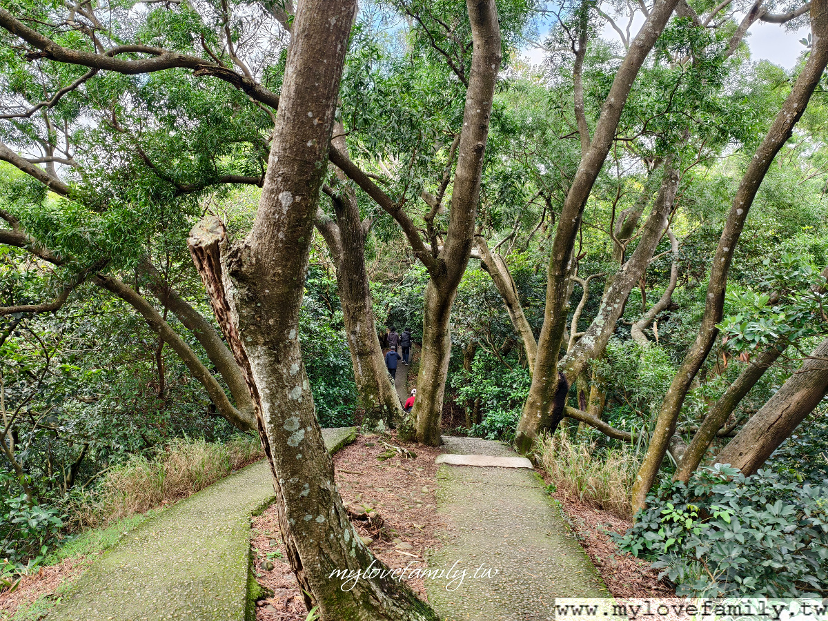 【五酒桶山步道】